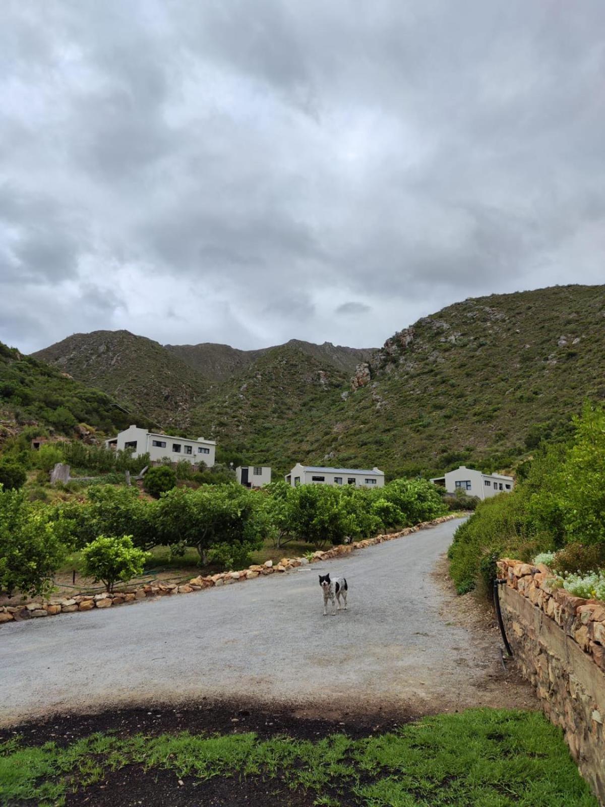 Roodekloof Apartman Montagu Kültér fotó